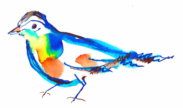 #NewsletterMJT - Avent 2025